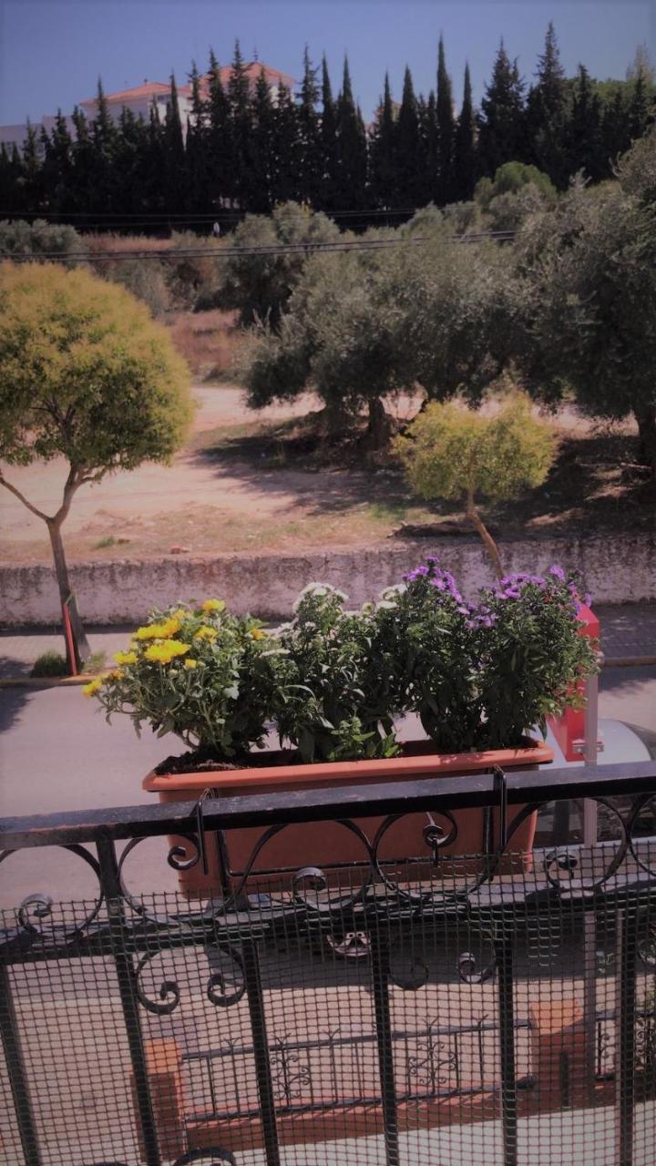 La Campina Hostel Ronda Buitenkant foto